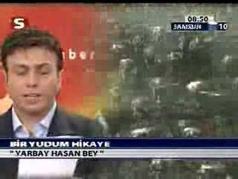 zafer