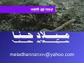 Fo2 El Salib