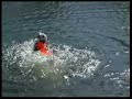 PFD = Puppy Floatation Device PFD = Puppy Floatation Device