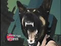 Perros - NANOMETRAJES 2004