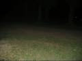 Orbs - What are They?