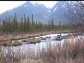 nature just outside Banff city