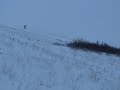 snowboarding tree gap 40 feet