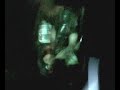 yop, le 1/12/06 � la salle f�lix-martin.
*mettez pas le son :d*