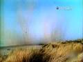 Destroyed in Seconds- Beached Whale Explosion