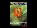 In The Hearts Of Green Birds - Part 4