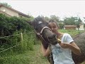 mon cheval. et moi