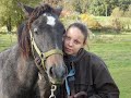mon cheval. et moi