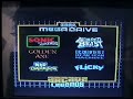 Portable Megadrive/Genesis