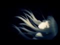 AMV (Saison 1)