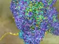 Molecular Biology's Central Dogma