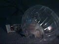 Necati the Hamster Necati the Hamster