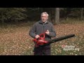 Leaf Blowers Buying Guide