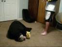 Joboen and Super Chode Bloopers