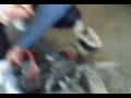 videos de CIAO PROTO