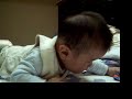 å®¸å®¸