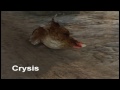 Skyrim is a Rip Off