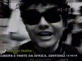 repóter abelha   marcelo camelo