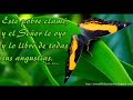 stanislao marino -Me Librara Jehovah