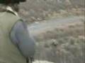 Moose Hunting with Jim Shockey and comedian Bobby Chisano