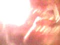 Fète St Gél o8