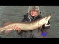 Best Of Muskie Fishing Vol.2 2004-2007 Pt.2 Best Of Muskie Fishing Vol.2 2004-2007 Pt.2