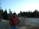 Norris Gyser- Yellowstone