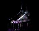 videoart created by miguel almagro and xavier using the paranoiac critical method developed by dali : the images were produced using what he called the 