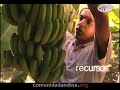 Spot sobre la integracion de la Comunidad Andina