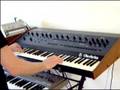 SH 101 + TR 606 + OBERHEIM OBXa Part 1
