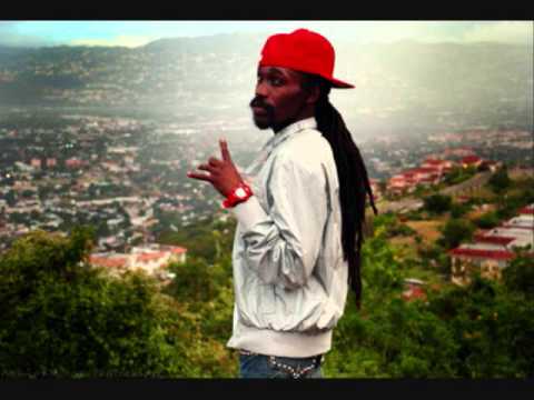 how to harvest skullcap