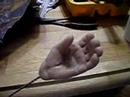 bigfoot hand (big hand?)