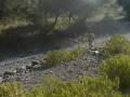videos de PG01_M009.mpg