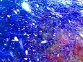 Cavtat Underwater Part 01