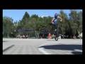 Lords of the Tricks
