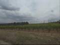 biking through Val di Chiana