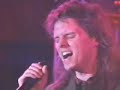 WhiteHeart - Desert Rose