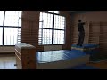 Gato a nivel en el gimnasio Gato a nivel en el gimnasio