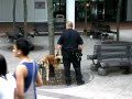 NFTA Officer Threatens Bystander (Profanity)