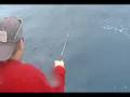 Vertical Jig Puerto Rico Fishing Trips 787 384-5188 Part 14