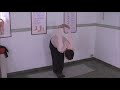 Dwikonasana (posizione del doppio angolo)