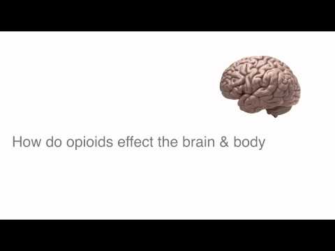 Types of Opioids Drugs That Are Abused Types of Opioids Drugs That Are Abused