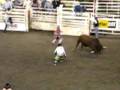videos de Guy does flip off a bull!