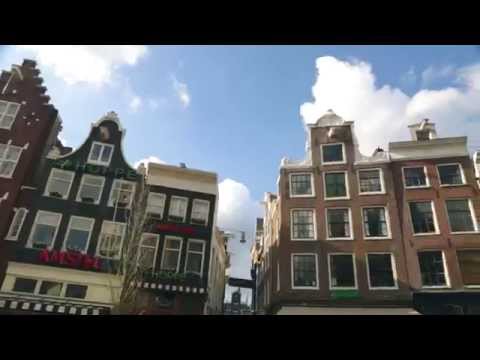 Holland. The Original Cool. Episode 1: Can Cool be Taught?