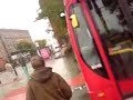 Si Shark plays chicken with bus