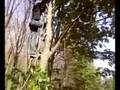 videos de try