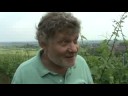 Marcel Deiss Alsace Marcel Deiss Alsace