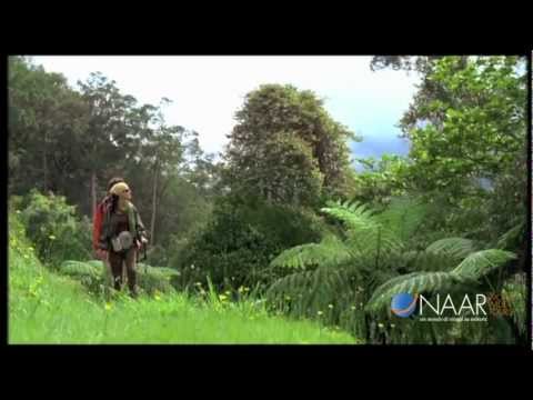 xsus1711 - Video emozionale Tourism Malaysia by Naar.