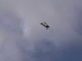 C-arf Pitts Python C-arf Pitts Python