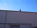 Flying Phone